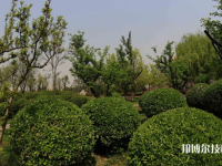 太湖愷風(fēng)職業(yè)技術(shù)學(xué)校2023年招生簡章