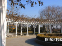 滄州財稅中專學(xué)校怎么樣、好不好