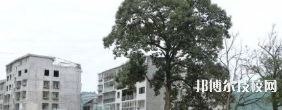 四川古藺大村職業(yè)中學(xué)校2022年招生錄取分?jǐn)?shù)線