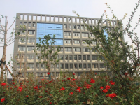 安慶松安職業(yè)技術(shù)學(xué)校2023年招生計(jì)劃
