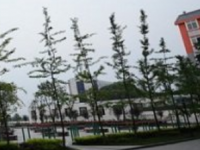 瀘州江南職業(yè)中學(xué)校2023年招生計(jì)劃