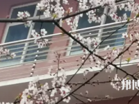 四川瀘州江陽高級(jí)中學(xué)2023年學(xué)費(fèi)、收費(fèi)多少