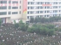 合江少岷職業(yè)技術(shù)學(xué)校2023年招生計(jì)劃