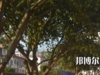四川合江先市職業(yè)高級(jí)中學(xué)校2023年有哪些專業(yè)