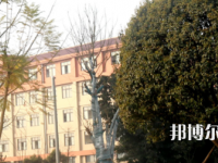 瀘州職業(yè)技術(shù)學(xué)校2023年有哪些專業(yè)
