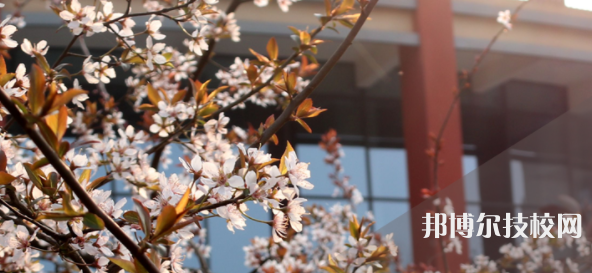 瀘州職業(yè)技術(shù)學(xué)校地址在哪里