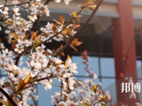 瀘州職業(yè)技術(shù)學(xué)校2023年地址在哪里