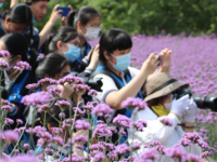 樂清市雁蕩山旅游學校2023年招生錄取分數(shù)線