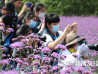 樂清市雁蕩山旅游學校2023年招生辦聯(lián)系電話
