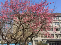 余姚第二職業(yè)技術(shù)學(xué)校2023年學(xué)費(fèi)、收費(fèi)多少