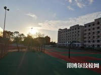 佛山順德區(qū)培教職業(yè)技術(shù)學(xué)校2023年網(wǎng)站網(wǎng)址