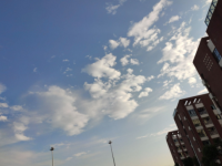 淮南市潘集工程技術(shù)中等專業(yè)學(xué)校2023年招生計(jì)劃