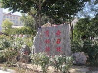 秦皇島奇石藝術(shù)學校2023年有哪些專業(yè)