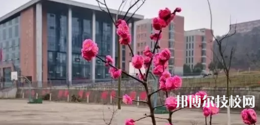 綿陽廣播電視大學2022年有哪些專業(yè)