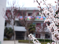 扶風(fēng)縣職業(yè)教育中心2023年招生錄取分?jǐn)?shù)線