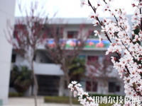 扶風(fēng)縣職業(yè)教育中心怎么樣、好不好