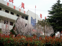 扶風(fēng)縣職業(yè)教育中心2023年招生簡章