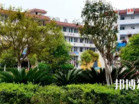 鹽亭職業(yè)技術(shù)學(xué)校2023年地址在哪里