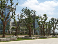 安徽宿州技師學(xué)院2023年招生錄取分?jǐn)?shù)線
