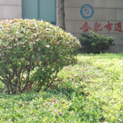 合肥通用技術(shù)學(xué)校