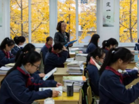 北侖職業(yè)高級中學2023年招生錄取分數(shù)線