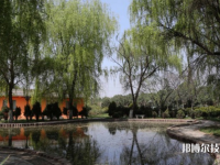 宣城生物工程學(xué)校2023年招生辦聯(lián)系電話