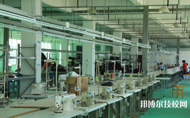 合陽縣職業(yè)技術(shù)教育中心2022年有哪些專業(yè)