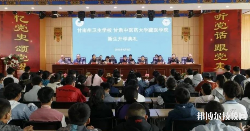 甘南藏族自治州衛(wèi)生學校網(wǎng)站網(wǎng)址