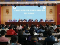 甘南藏族自治州衛(wèi)生學(xué)校2023年網(wǎng)站網(wǎng)址