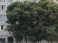 蘭州電子工業(yè)學(xué)校2023年學(xué)費、收費多少