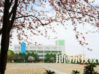 四川廣元朝天職業(yè)中學(xué)2023年學(xué)費、收費多少