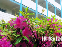 建德工業(yè)技術(shù)學(xué)校2023年地址在哪里