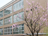 金華九峰職業(yè)技術(shù)學(xué)校怎么樣，好不好