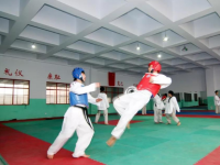 保定市體育運(yùn)動(dòng)學(xué)校2023年學(xué)費(fèi)、收費(fèi)多少
