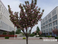陳倉區(qū)職業(yè)教育中心2023年網(wǎng)站網(wǎng)址