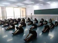 張家口正大新能源中等職業(yè)學(xué)校2023年招生錄取分?jǐn)?shù)線