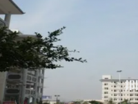 廣安武勝嘉陵職業(yè)技術(shù)學(xué)校2023年有哪些專業(yè)