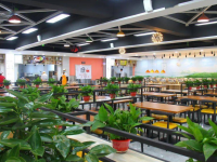 四川東坡中等職業(yè)技術(shù)學(xué)校2023年招生錄取分數(shù)線