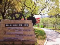 江蘇省昆山第一中等專業(yè)學(xué)校2023年招生錄取分數(shù)線