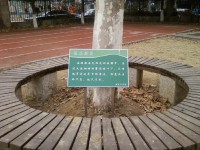 南京莫愁中等專業(yè)學(xué)校2023年招生計(jì)劃