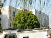 綏德縣職業(yè)技術(shù)教育中心2023年招生辦聯(lián)系電話