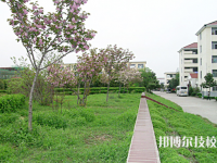 淮南市勞動高級職業(yè)技術(shù)學(xué)校2023年報名條件、招生要求、招生對象