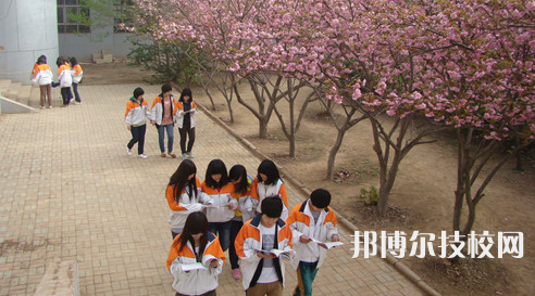 衡水職業(yè)技術(shù)教育中心2022年報(bào)名條件、招生要求、招生對(duì)象