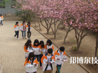 衡水職業(yè)技術(shù)教育中心2023年報(bào)名條件、招生要求、招生對(duì)象