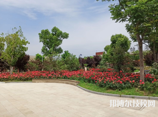 楚雄民族中等專業(yè)學(xué)校2022年招錄取分?jǐn)?shù)線