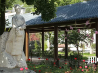 四川甘孜衛(wèi)生學(xué)校2023年招生錄取分數(shù)線