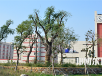 江蘇省連云港中等專(zhuān)業(yè)學(xué)校2023年招生辦聯(lián)系電話(huà)