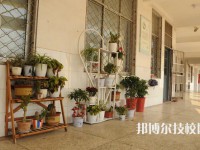 江蘇省金山中等專業(yè)學(xué)校怎么樣、好不好