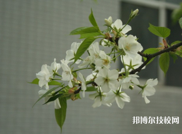 重慶永川職業(yè)教育中心2022年招生辦聯(lián)系電話