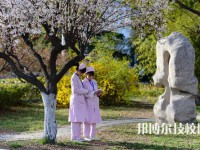 徐州生物工程職業(yè)技術(shù)學院中專部怎么樣、好不好